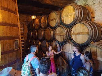 Douro wine route experience from Porto
